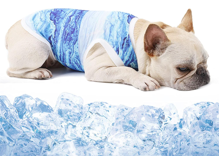 フレブル お迎え準備